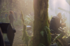 vlcsnap-2015-11-02-17h55m36s807.png