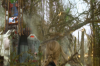 vlcsnap-2015-11-02-17h55m38s651.png