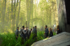 vlcsnap-2015-11-02-17h55m41s513.png