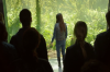vlcsnap-2015-11-02-17h56m23s219.png