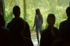 vlcsnap-2015-11-02-17h56m23s555.png