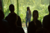 vlcsnap-2015-11-02-17h56m24s637.png