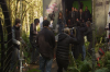 vlcsnap-2015-11-02-17h56m27s392.png