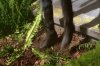 vlcsnap-2015-11-02-17h56m31s439.png