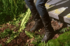 vlcsnap-2015-11-02-17h56m31s825.png