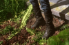 vlcsnap-2015-11-02-17h56m32s210.png
