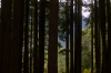 vlcsnap-2015-11-02-17h56m34s828.png