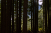 vlcsnap-2015-11-02-17h56m35s230.png