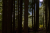 vlcsnap-2015-11-02-17h56m35s603.png