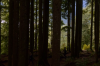 vlcsnap-2015-11-02-17h56m36s018.png