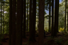 vlcsnap-2015-11-02-17h56m36s406.png