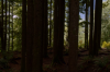 vlcsnap-2015-11-02-17h56m36s820.png