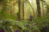 vlcsnap-2015-11-02-17h56m37s242.png