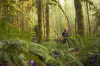 vlcsnap-2015-11-02-17h56m37s661.png