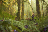 vlcsnap-2015-11-02-17h56m38s050.png
