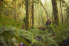 vlcsnap-2015-11-02-17h56m38s446.png