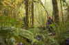 vlcsnap-2015-11-02-17h56m39s236.png