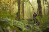 vlcsnap-2015-11-02-17h56m39s661.png