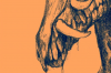 vlcsnap-2015-11-02-17h57m24s394.png