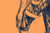 vlcsnap-2015-11-02-17h57m24s832.png
