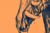 vlcsnap-2015-11-02-17h57m25s296.png