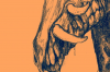 vlcsnap-2015-11-02-17h57m26s141.png