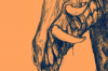 vlcsnap-2015-11-02-17h57m26s350.png