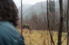 vlcsnap-2015-11-02-17h57m39s943.png
