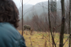 vlcsnap-2015-11-02-17h57m40s353.png