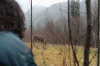 vlcsnap-2015-11-02-17h57m40s764.png