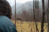 vlcsnap-2015-11-02-17h57m41s166.png