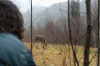 vlcsnap-2015-11-02-17h57m41s585.png