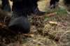 vlcsnap-2015-11-02-17h57m42s468.png