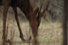 vlcsnap-2015-11-02-17h57m42s918.png