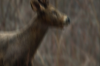 vlcsnap-2015-11-02-17h57m43s362.png