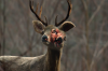 vlcsnap-2015-11-02-17h57m44s200.png