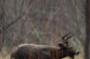 vlcsnap-2015-11-02-17h57m47s011.png