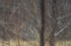 vlcsnap-2015-11-02-17h57m47s508.png