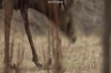 vlcsnap-2015-11-02-17h57m51s570.png