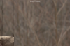 vlcsnap-2015-11-02-17h57m53s803.png
