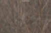 vlcsnap-2015-11-02-17h57m54s304.png