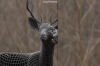 vlcsnap-2015-11-02-17h57m54s777.png