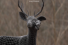 vlcsnap-2015-11-02-17h57m55s217.png
