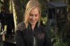 vlcsnap-2015-11-02-17h58m04s042.png