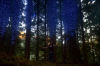vlcsnap-2015-11-02-17h58m45s726.png