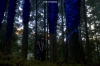 vlcsnap-2015-11-02-17h59m00s249.png