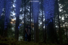 vlcsnap-2015-11-02-17h59m00s660.png
