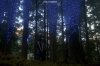 vlcsnap-2015-11-02-17h59m01s087.png