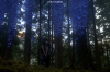 vlcsnap-2015-11-02-17h59m01s492.png