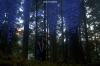 vlcsnap-2015-11-02-17h59m01s905.png
